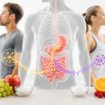 Fueling | Die Physiologie